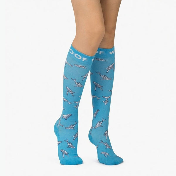 //kr.drwoofapparel.com/cdn/shopifycloud/storefront/assets/no-image-2048-a2addb12_grande.gif